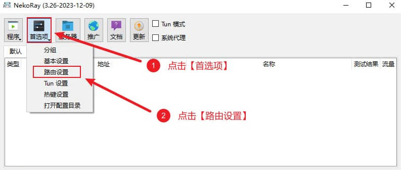 NekoRay 路由模式