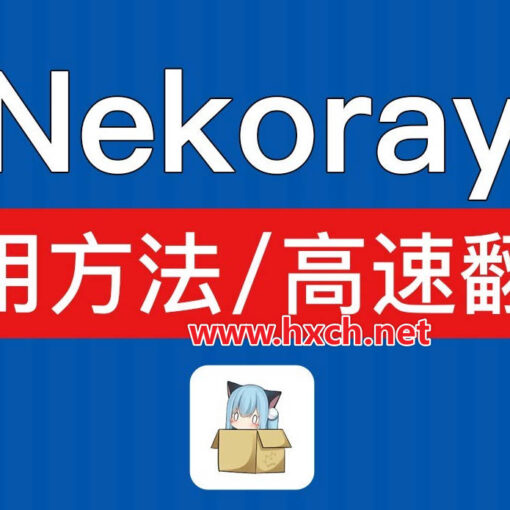 NekoRay科学上网工具使用教程|Windows及Linux系统电脑科学上网指南 30 nekoray使用指南