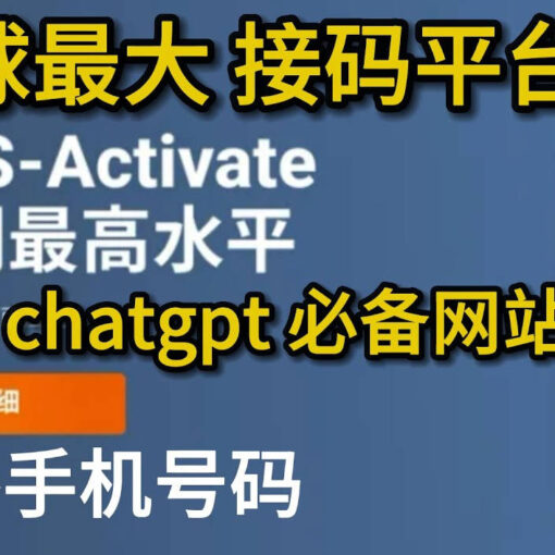 SMS-Activate 注册使用指南|全球最大短信接码平台推荐(附注册chatgpt) 13 全球最大接码平台推荐
