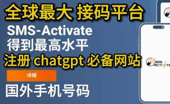 全球最大接码平台推荐