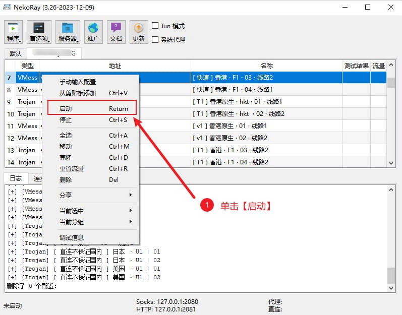 启动nekoray