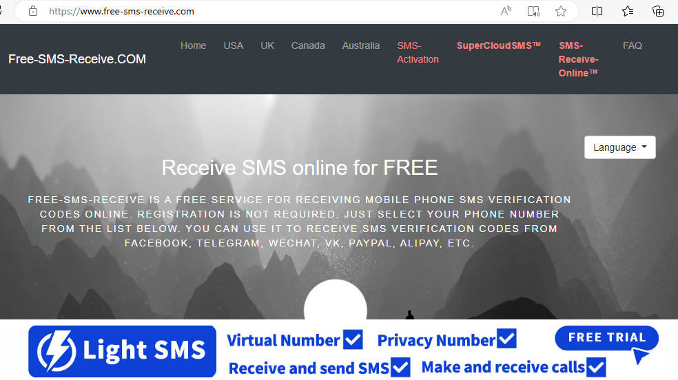 free sms receive