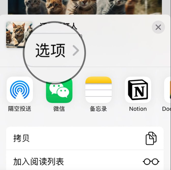 safari打开