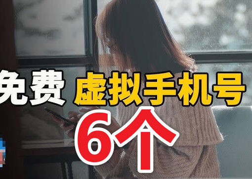 6个美国免费的虚拟手机号码平台推荐(收验证码+接打电话) 32 免费虚拟手机号