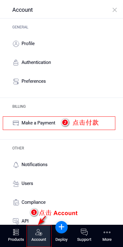make a payment