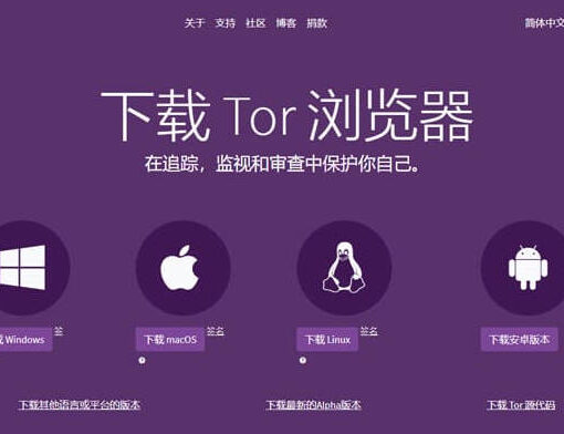Tor浏览器是什么?如何下载安装并使用 Tor 浏览器? 35 下载tor浏览器