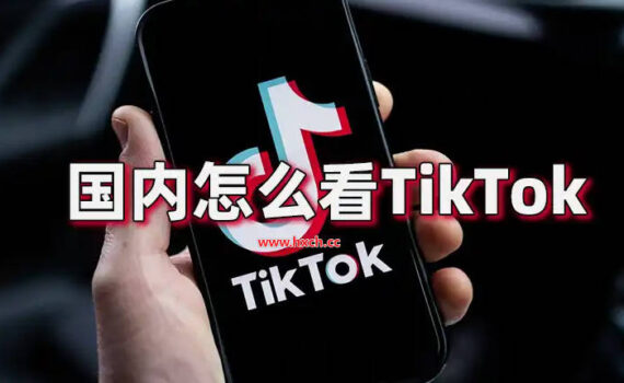 国内怎么看tiktok