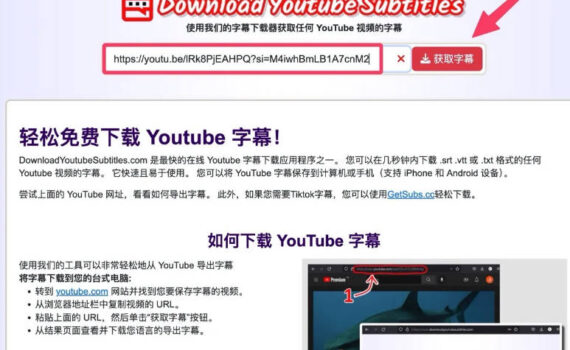如何下载youtube字幕