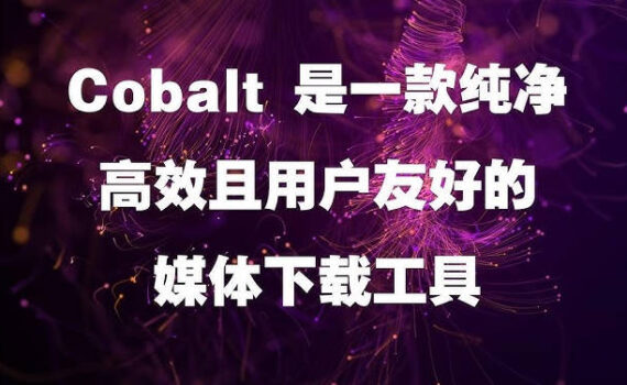 媒体下载工具推荐