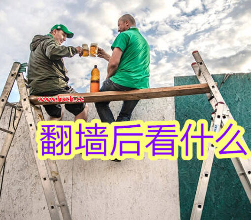 翻墙后看什么?科学上网后必看的20个主流平台 34 翻墙后看什么