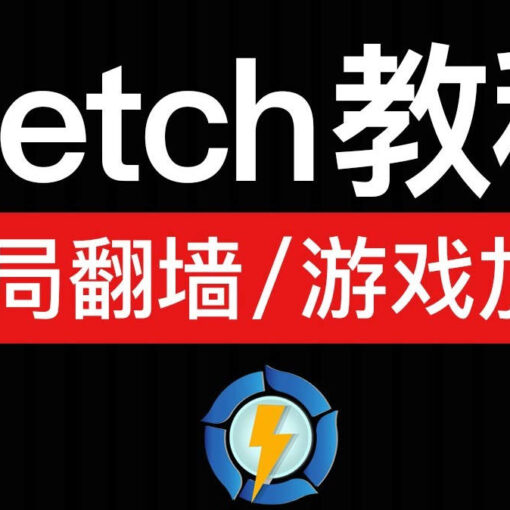 Netch游戏加速器工具推荐|Netch使用教程指南|steam游戏加速器推荐 29 netch教程