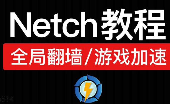 netch教程