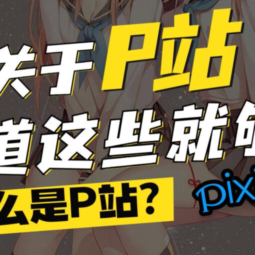 什么是P站