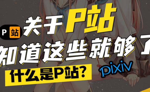 什么是P站