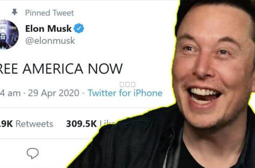 伊隆马斯克推特账号