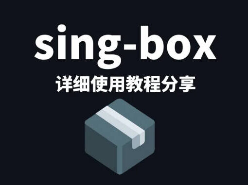 如何使用sing-box一键搭建vless节点实现科学上网 39 sing box