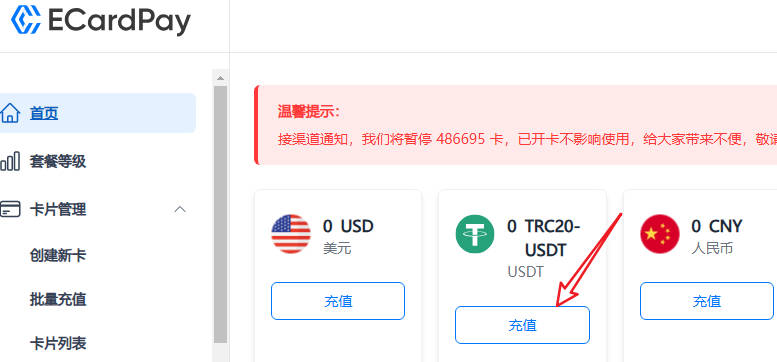 充值ecardpay信用卡