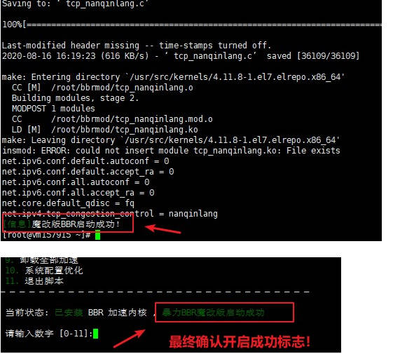 确认开启bbr加速