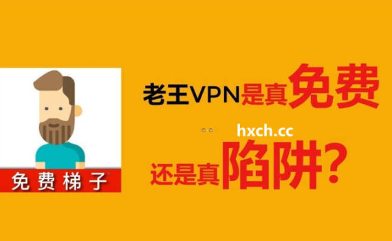 老王vpn是骗子吗