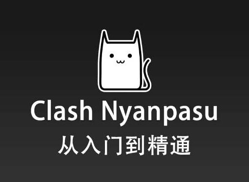 clash nyanpasu使用教程