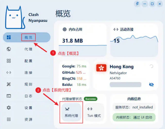 启用clash nyanpasu代理